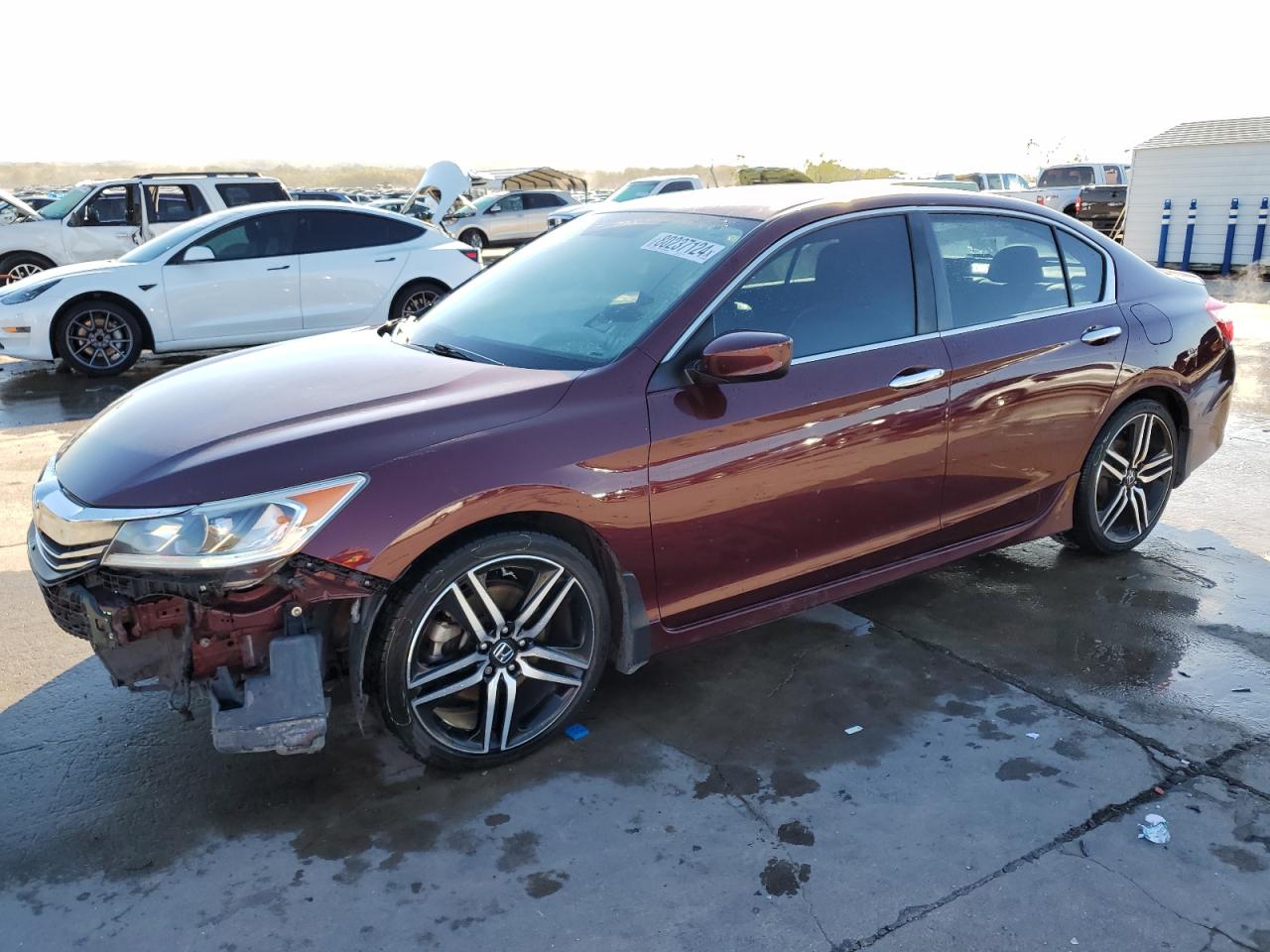 HONDA ACCORD SPORT SPECIAL EDITION