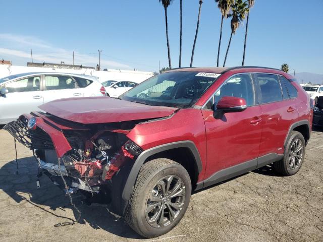 2024 TOYOTA RAV4 XLE P #3045806628