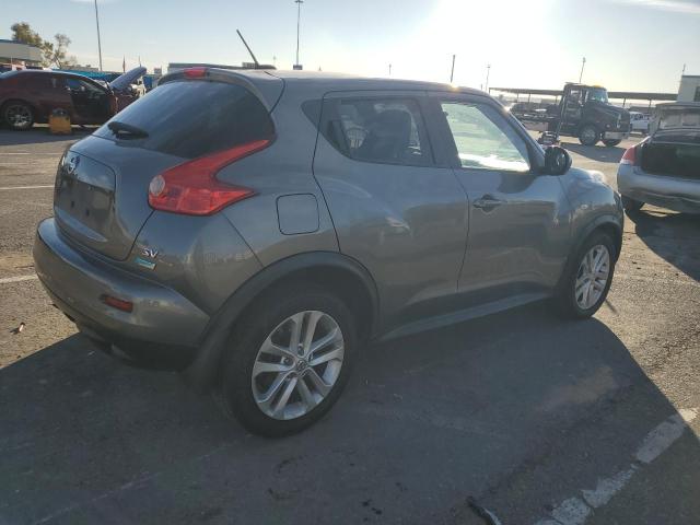 VIN JN8AF5MR5DT209655 2013 NISSAN JUKE no.3