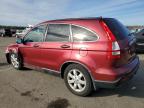 HONDA CR-V EX photo