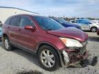 Lot #3006114745 2009 HONDA CR-V EXL