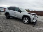 TOYOTA RAV4 LE photo