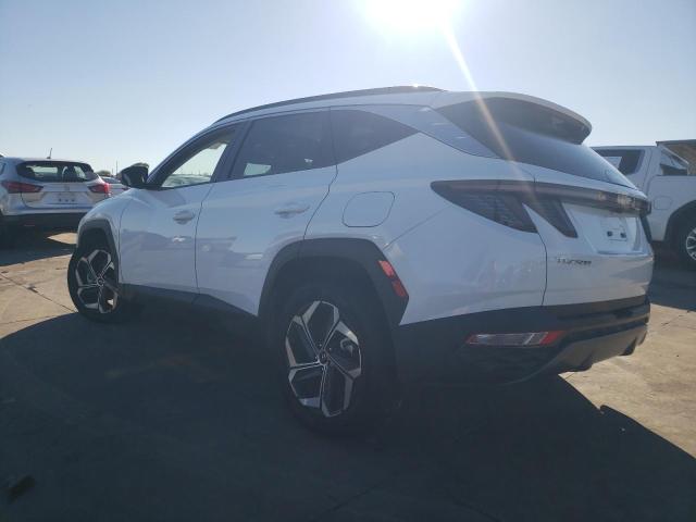 2024 HYUNDAI TUCSON LIM - 5NMJECDE5RH310767