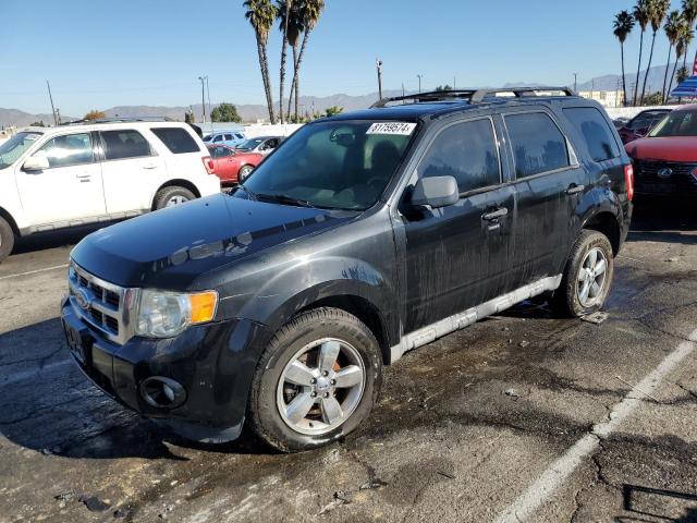 2010 FORD ESCAPE XLT #3006835677