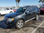 Lot #3006835677 2010 FORD ESCAPE XLT