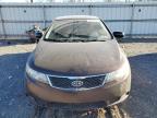 KIA FORTE EX photo