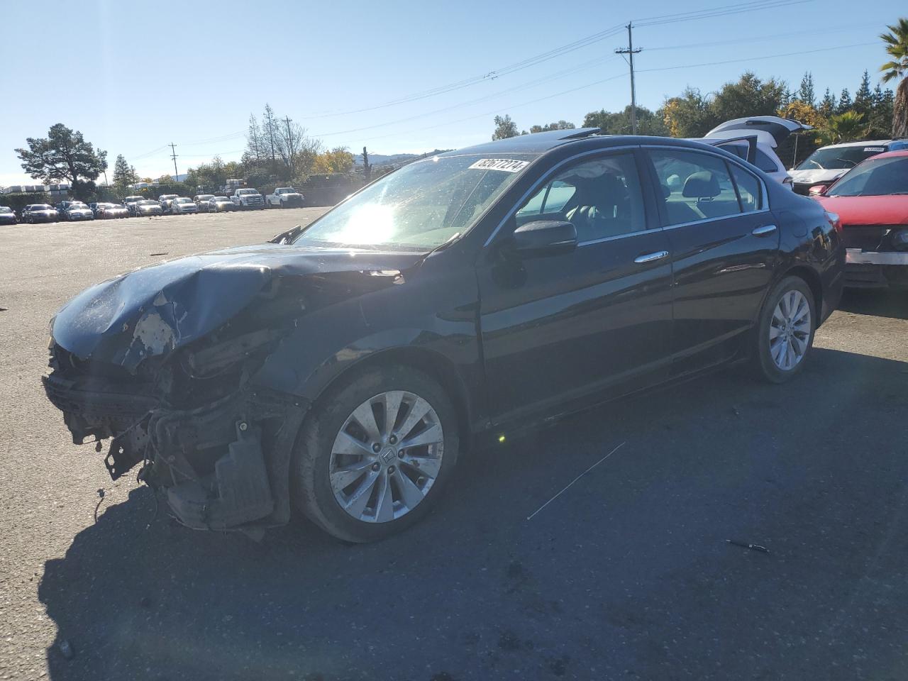 Lot #3029751249 2015 HONDA ACCORD TOU