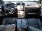 Lot #2979553591 2020 LEXUS GX 460 PRE