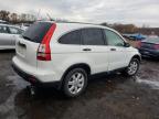 HONDA CR-V EX photo