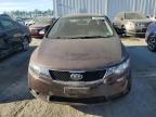 KIA FORTE EX photo