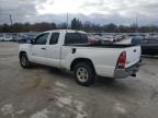 Lot #3024647590 2005 TOYOTA TACOMA ACC