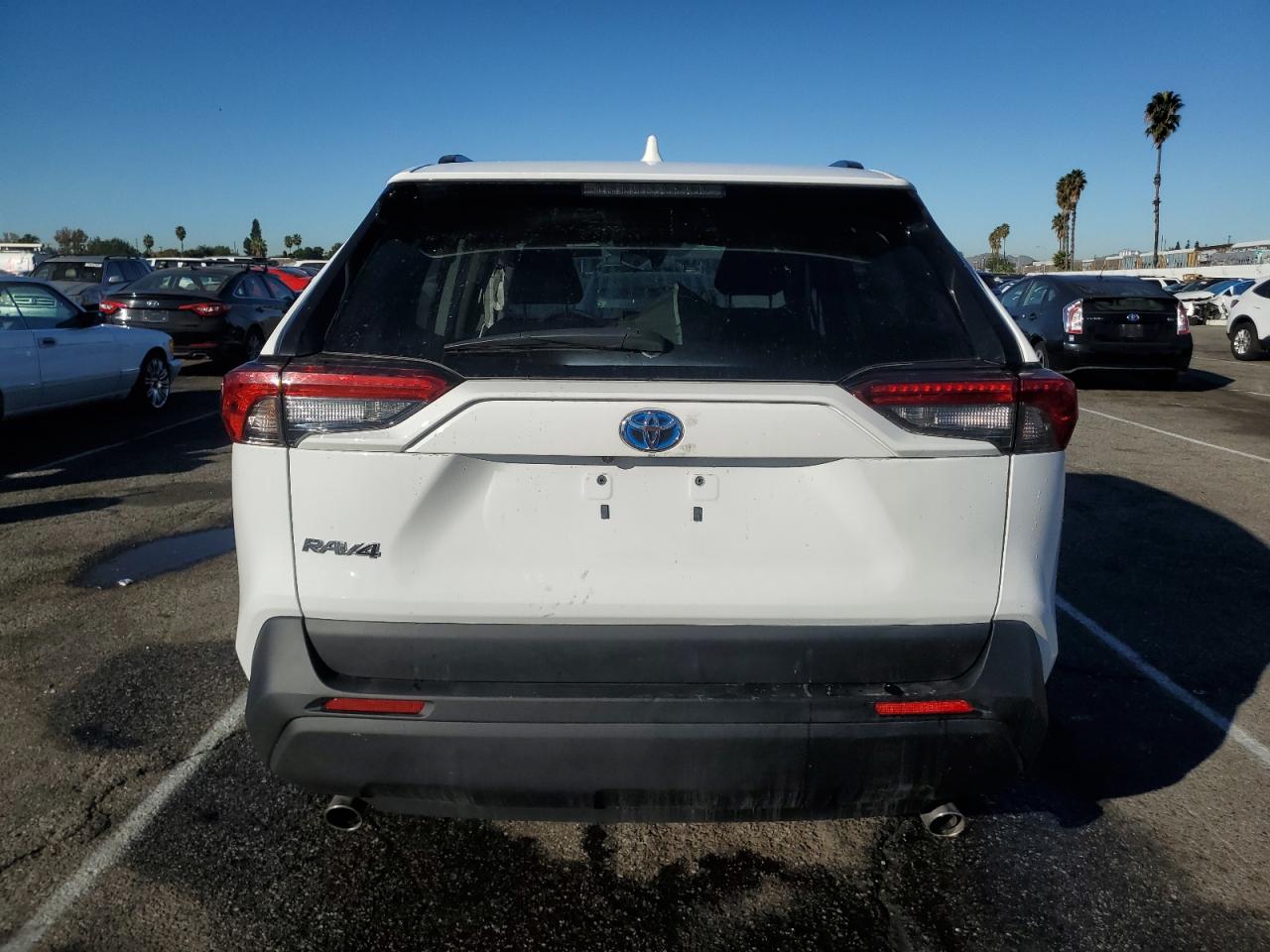 Lot #2991406903 2024 TOYOTA RAV4 LE