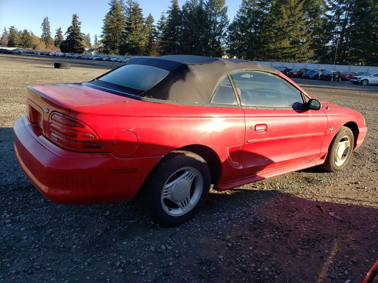 Lot #3044645252 1995 FORD MUSTANG