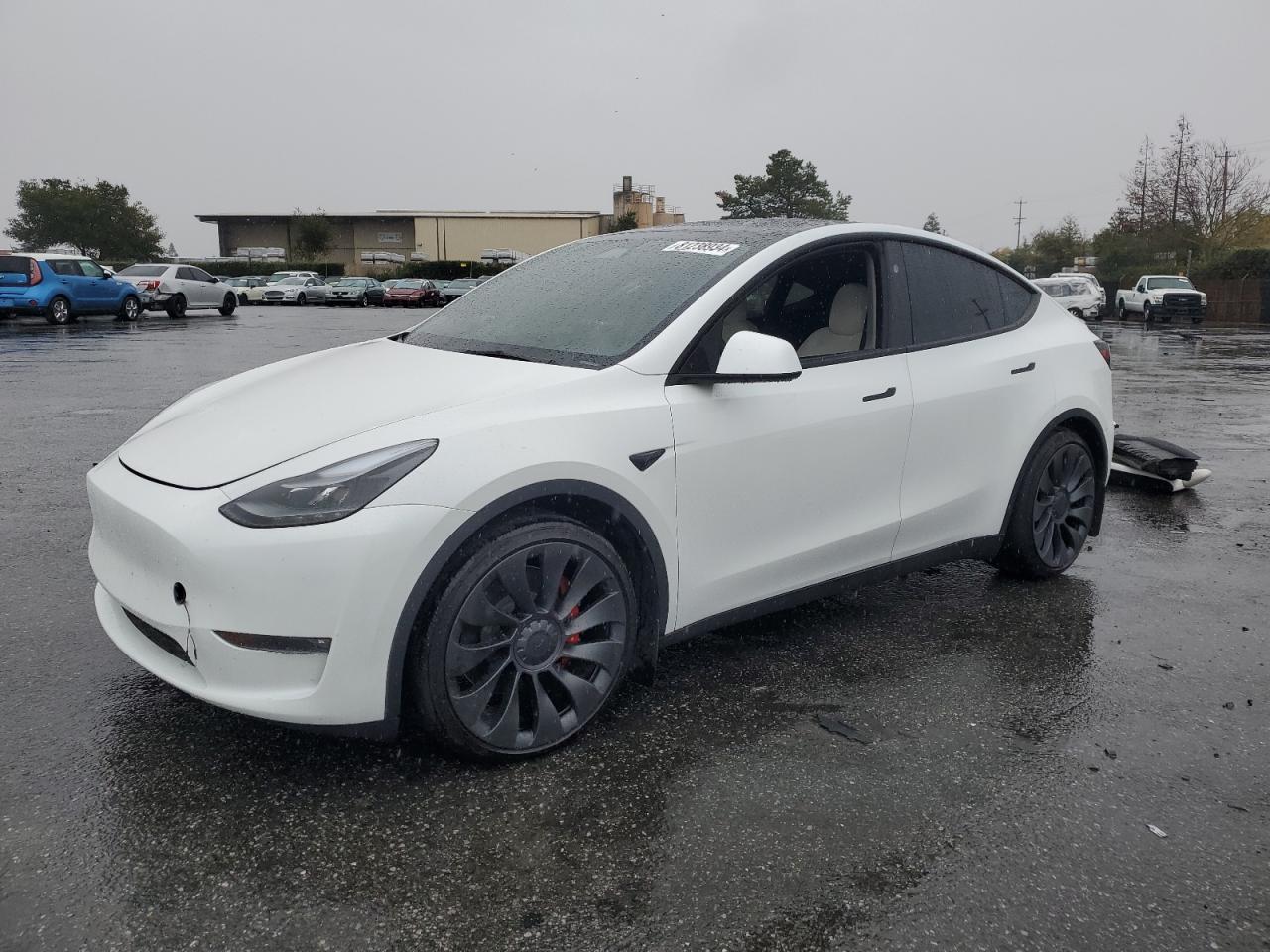 Lot #3033213812 2024 TESLA MODEL Y