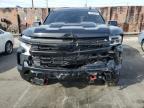 Lot #3025178207 2023 CHEVROLET SILVERADO