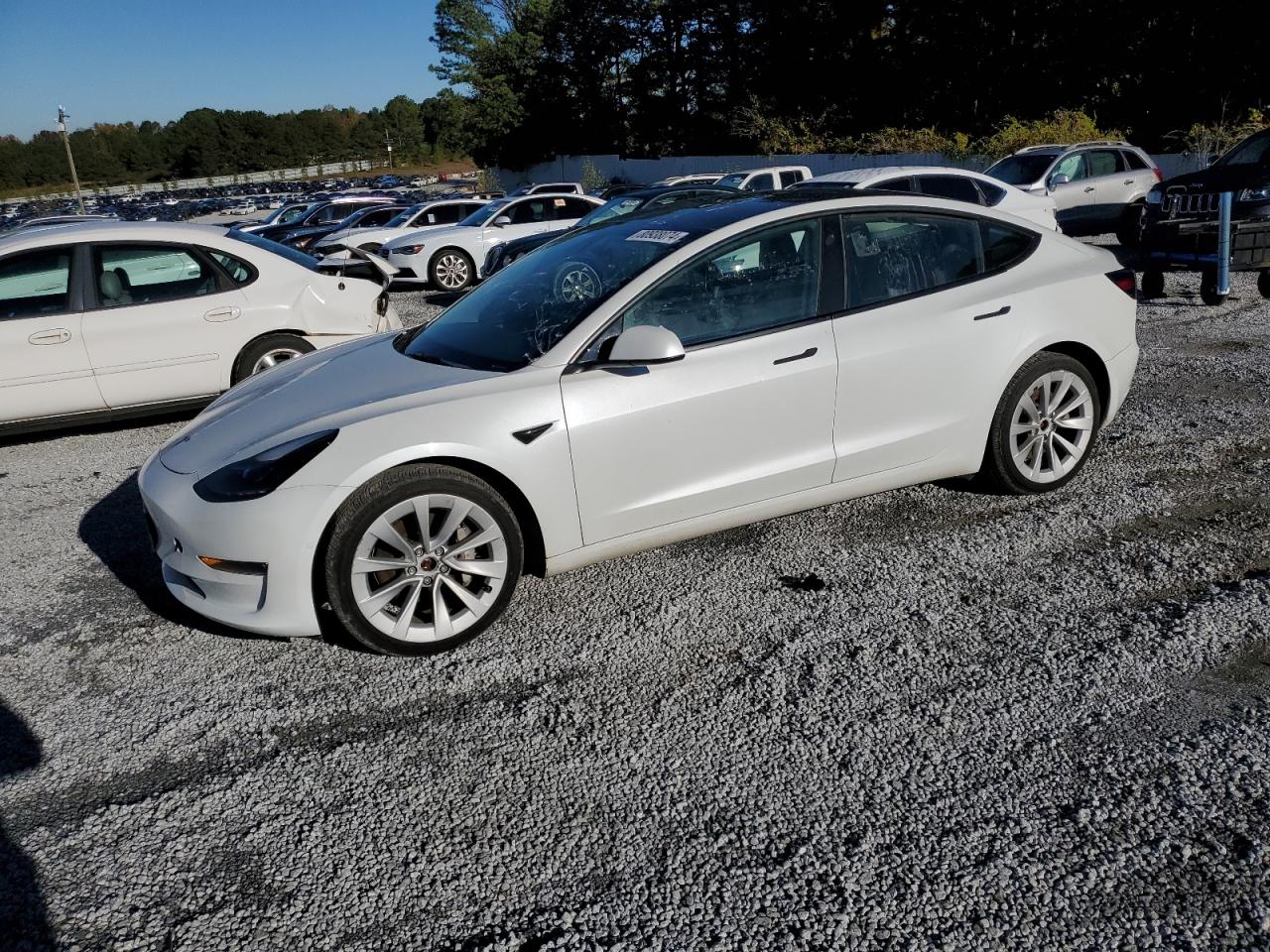 Lot #2979232969 2022 TESLA MODEL 3