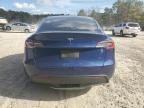 Lot #2957593593 2020 TESLA MODEL Y