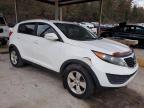 KIA SPORTAGE photo