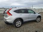 HONDA CR-V EX photo