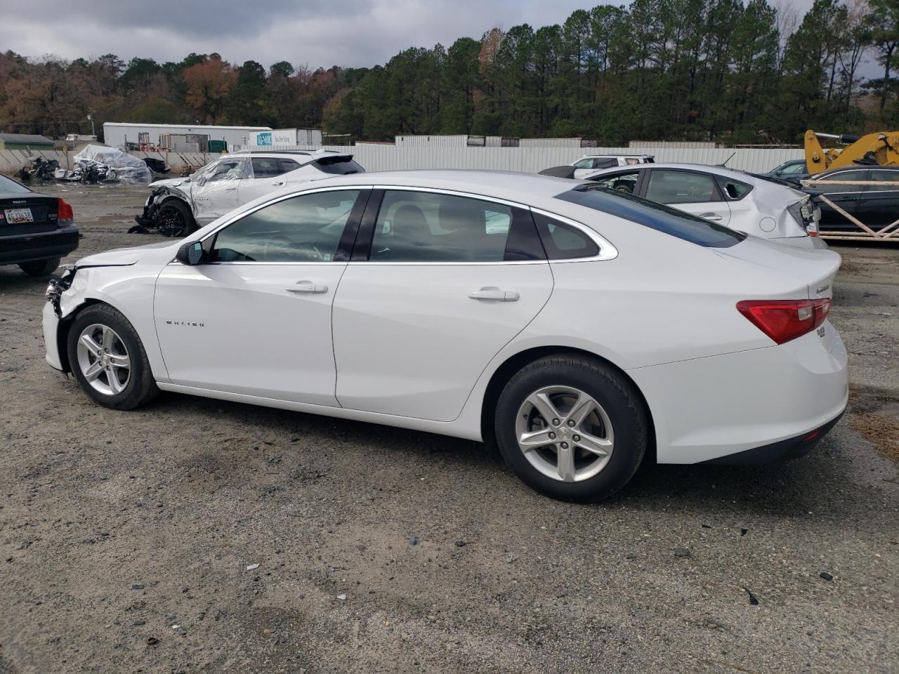 Lot #3029665068 2019 CHEVROLET MALIBU LS