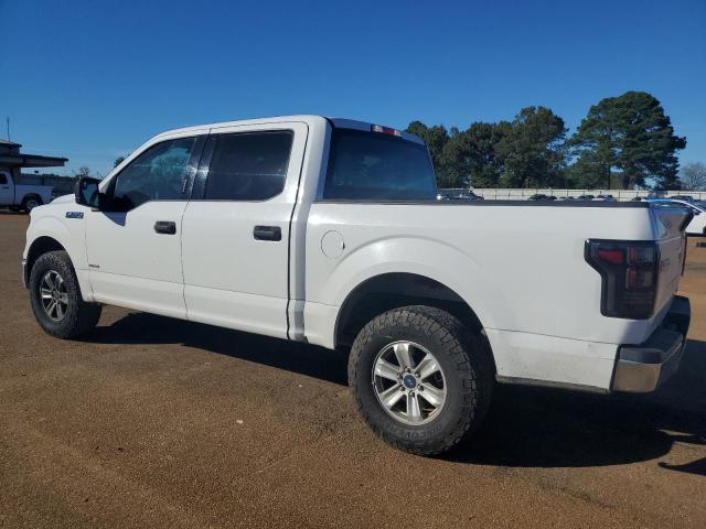 2015 FORD F150 SUPER - 1FTEW1EF9FFC00677