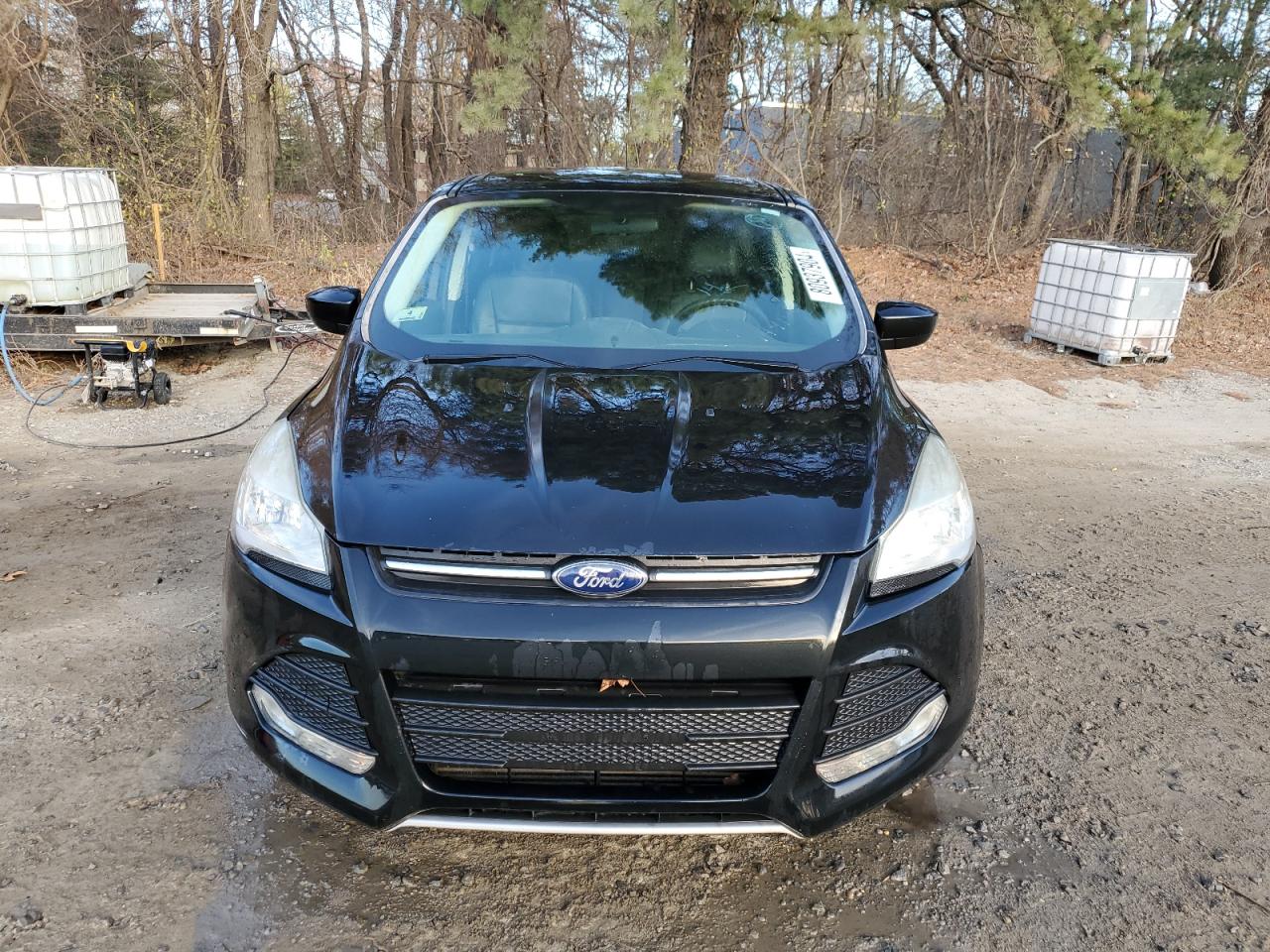 Lot #2993314848 2014 FORD ESCAPE SE