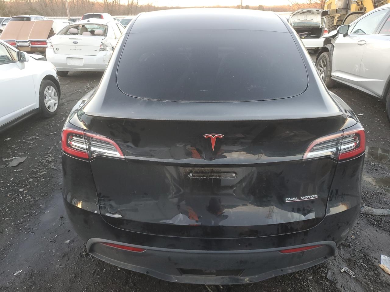 Lot #3037246486 2023 TESLA MODEL Y