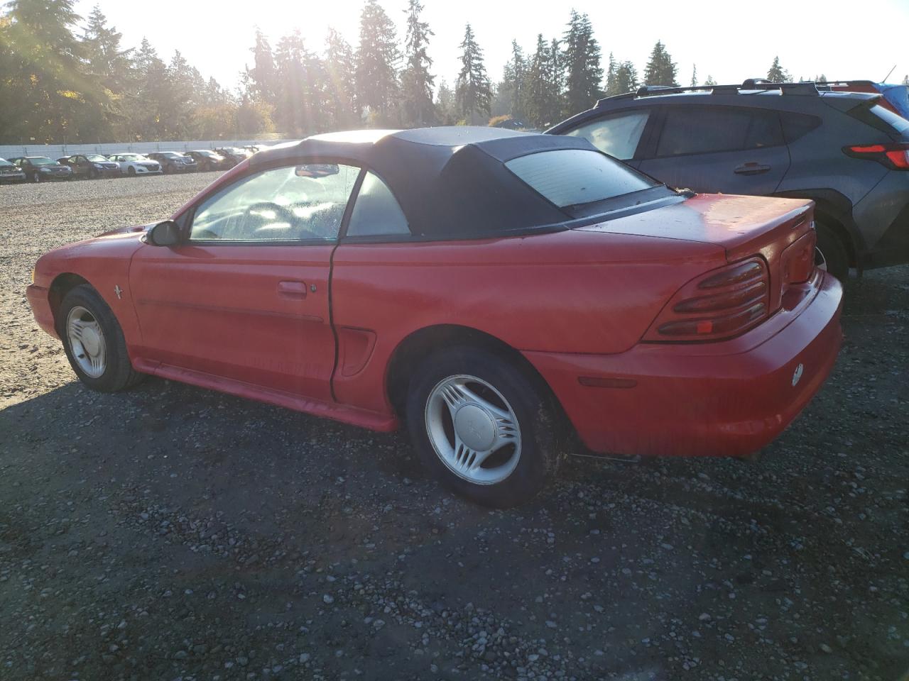 Lot #3044645252 1995 FORD MUSTANG