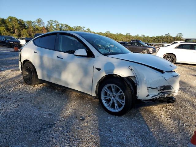 2024 TESLA MODEL Y - 7SAYGAEE7RF089303