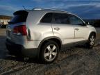 Lot #3020313464 2013 KIA SORENTO EX