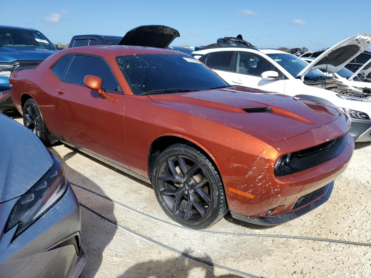 Lot #2990733983 2022 DODGE CHALLENGER