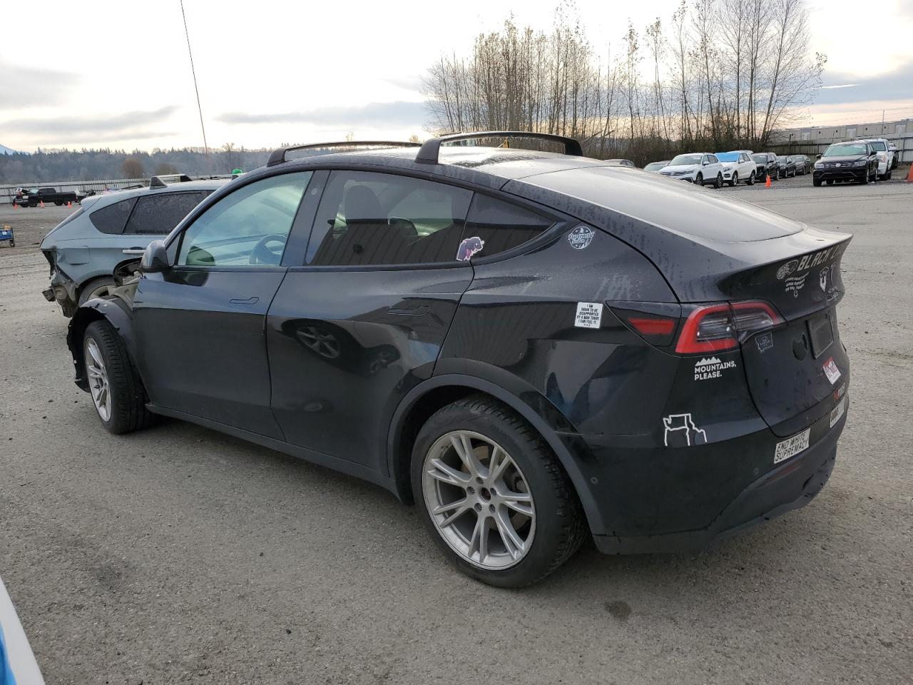 Lot #2989373671 2021 TESLA MODEL Y