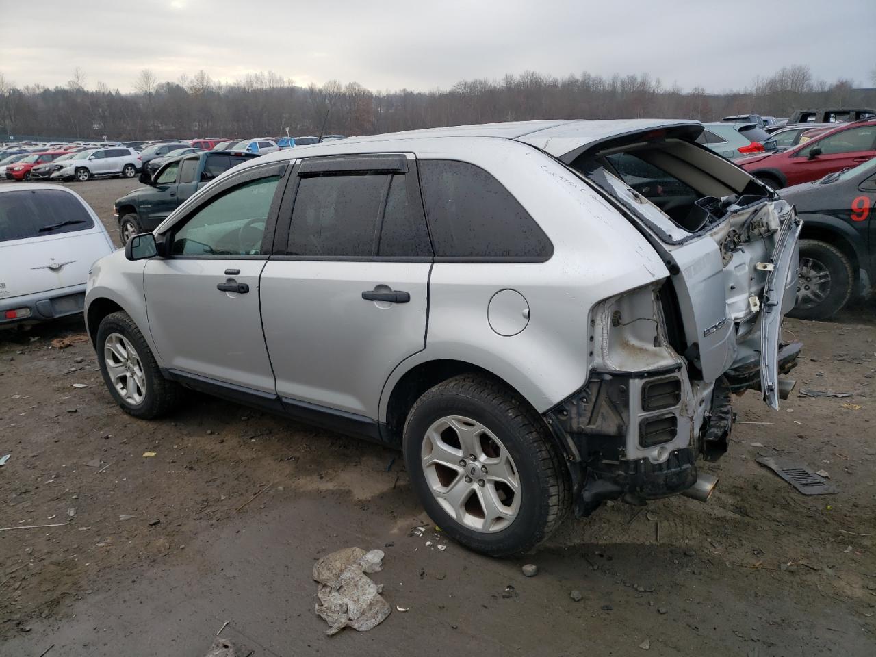 Lot #3033337836 2014 FORD EDGE SE