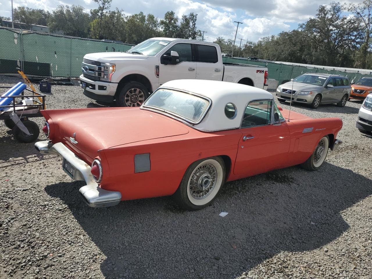 Lot #3032816019 1957 FORD THUNDERBIR