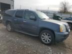 GMC YUKON XL D photo