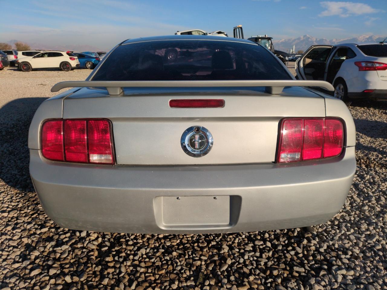 Lot #2987055506 2005 FORD MUSTANG