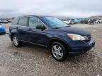 Lot #3027153283 2010 HONDA CR-V EX