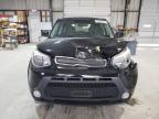 Lot #3024224878 2015 KIA SOUL