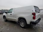 Lot #2991137270 2023 CHEVROLET SILVERADO