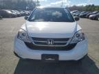 Lot #3045707636 2011 HONDA CR-V SE