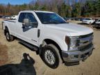 Lot #2995974391 2019 FORD F250 SUPER