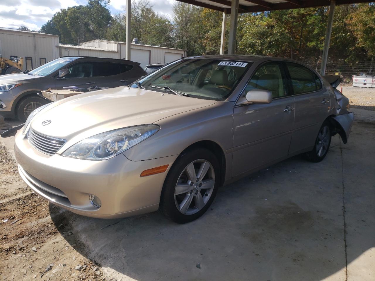 Lot #2977229172 2005 LEXUS ES 330