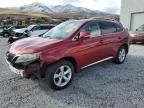 Lot #3023983266 2010 LEXUS RX 350