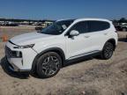 2023 HYUNDAI SANTA FE L - 5NMS44AL1PH559158