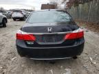 Lot #3023823907 2014 HONDA ACCORD EXL