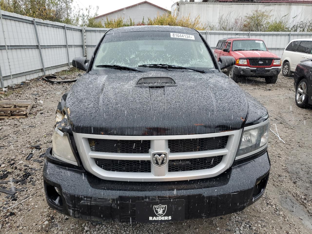 Lot #3026027964 2011 DODGE DAKOTA SLT