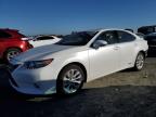 LEXUS ES 300H photo