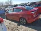 Lot #3024044224 2014 KIA FORTE EX