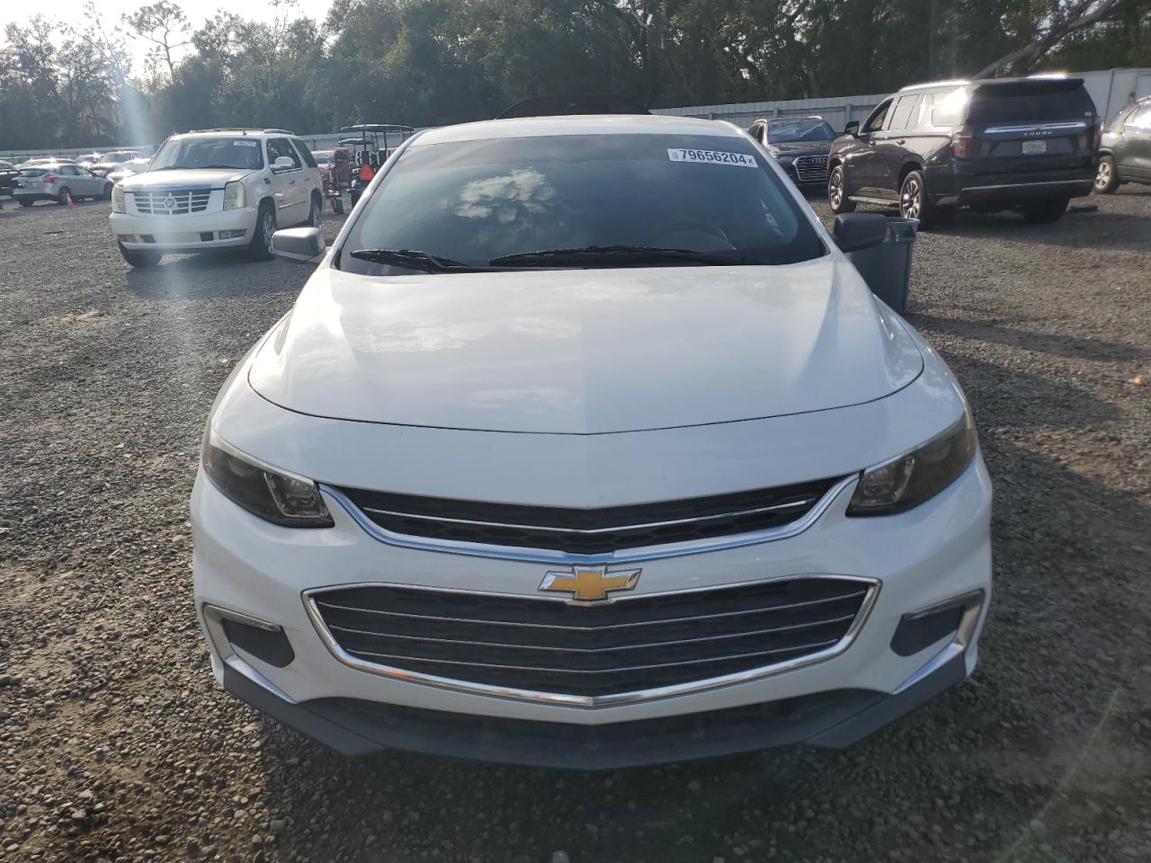 Lot #3025056326 2017 CHEVROLET MALIBU LS