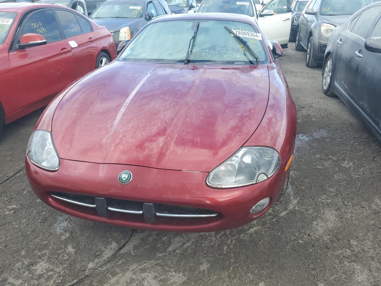 Lot #2998167305 2004 JAGUAR XK8